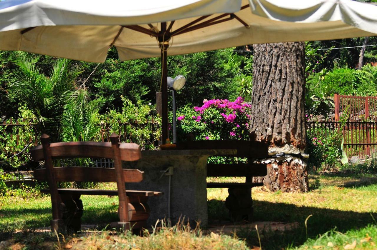 B&B Casa Di Antonio_Etna Vacanze Трекастани Екстериор снимка