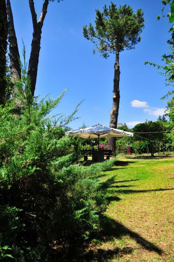 B&B Casa Di Antonio_Etna Vacanze Трекастани Екстериор снимка