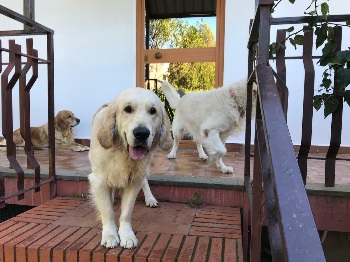 B&B Casa Di Antonio_Etna Vacanze Трекастани Екстериор снимка