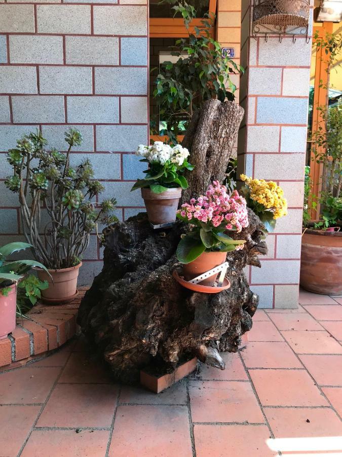 B&B Casa Di Antonio_Etna Vacanze Трекастани Екстериор снимка